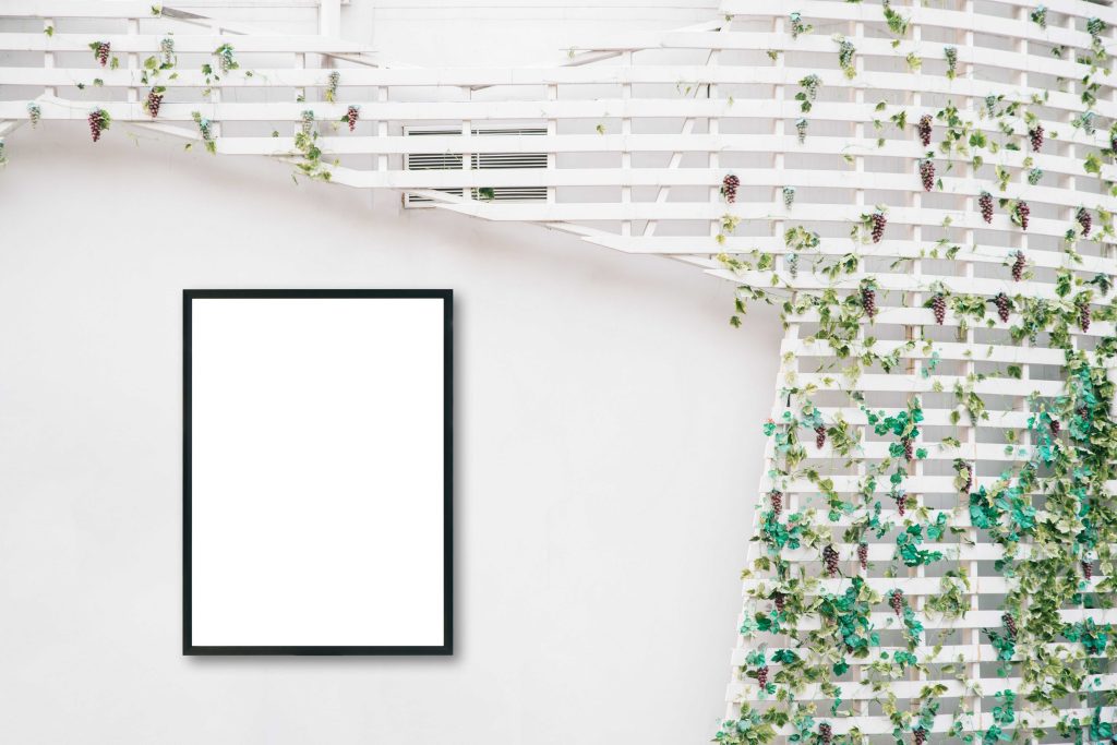 White frame with a white background