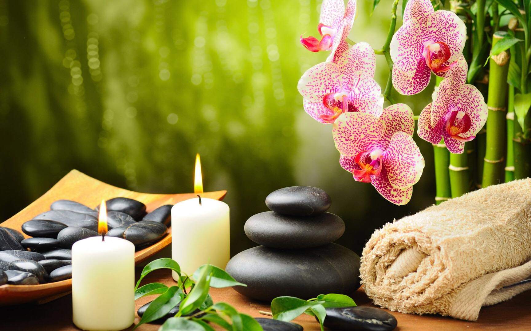 Wellness Retreat Packages Bangalore